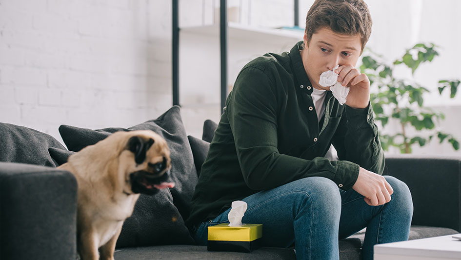 Getting an air purifier is one of the wisest ways to enhance your home’s indoor air quality. Discover more about the three best solutions. 